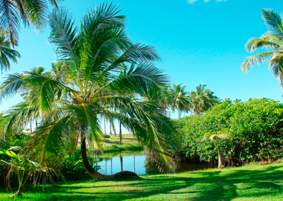 brasilien