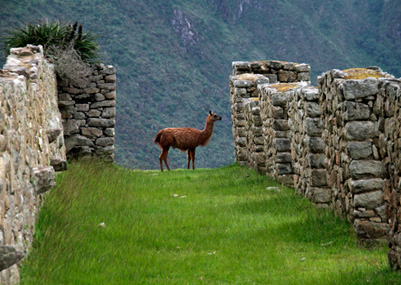 peru